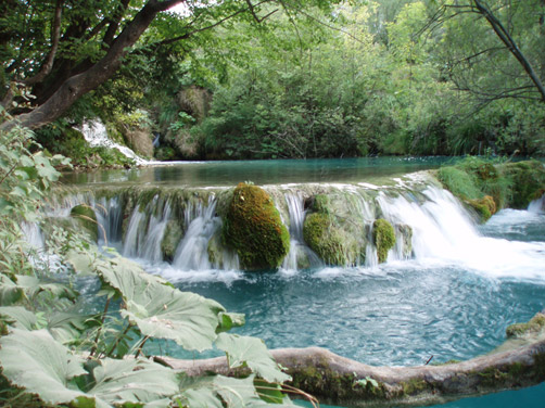 Sinterbarriere des Wasserfalls Milka Trnina, Untere Seen (Foto: Archiv NPPJ)